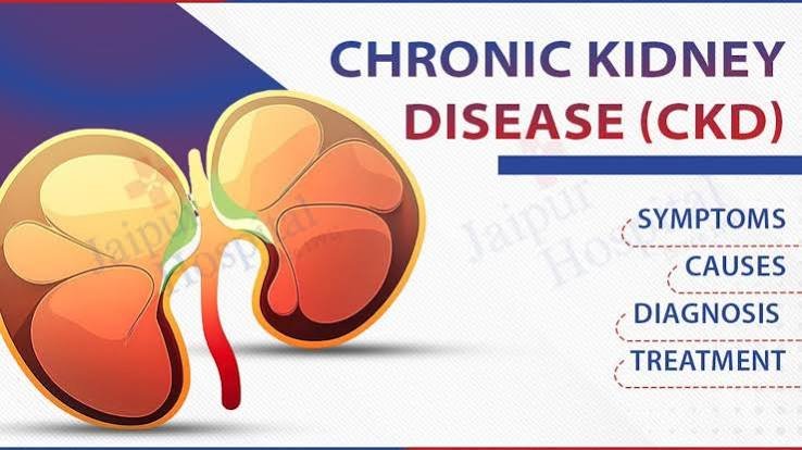 Possible Symptoms of Chronic Kidney Disease You Should Know