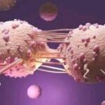 HIV/AIDS Herbal Medication – Immune Health Support 1
