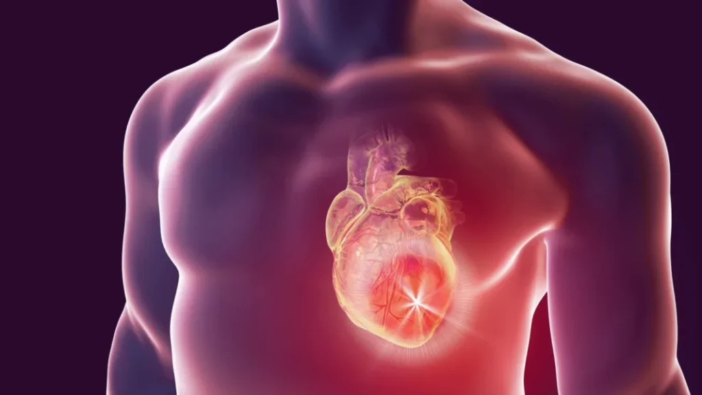Heart & Hypertension Herbal Medication – Cardiovascular Support