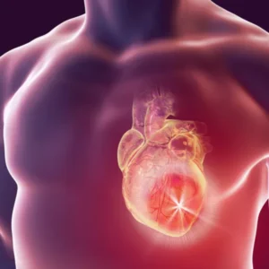 Heart & Hypertension Herbal Medication – Cardiovascular Support